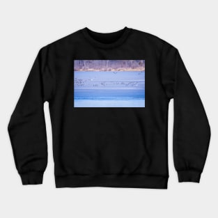 Flight Over Frozen Lake by Debra Martz Crewneck Sweatshirt